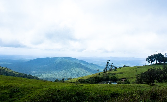 冷静与成熟 冷静与成熟