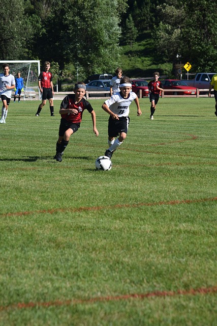 拜仁的成功 拜仁的成功