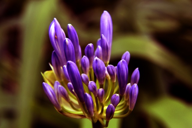 比赛结果 比赛结果