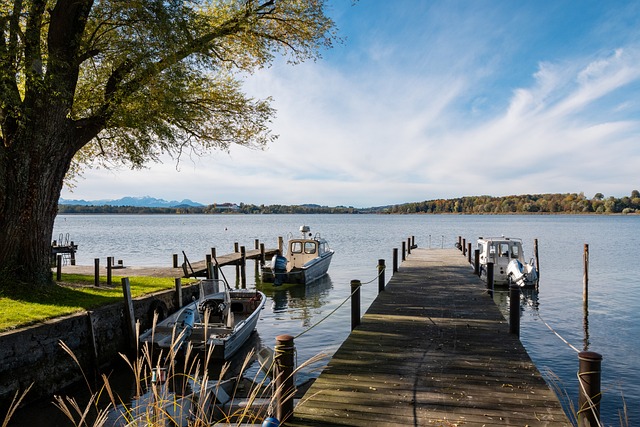 界迎来了一 界迎来了一